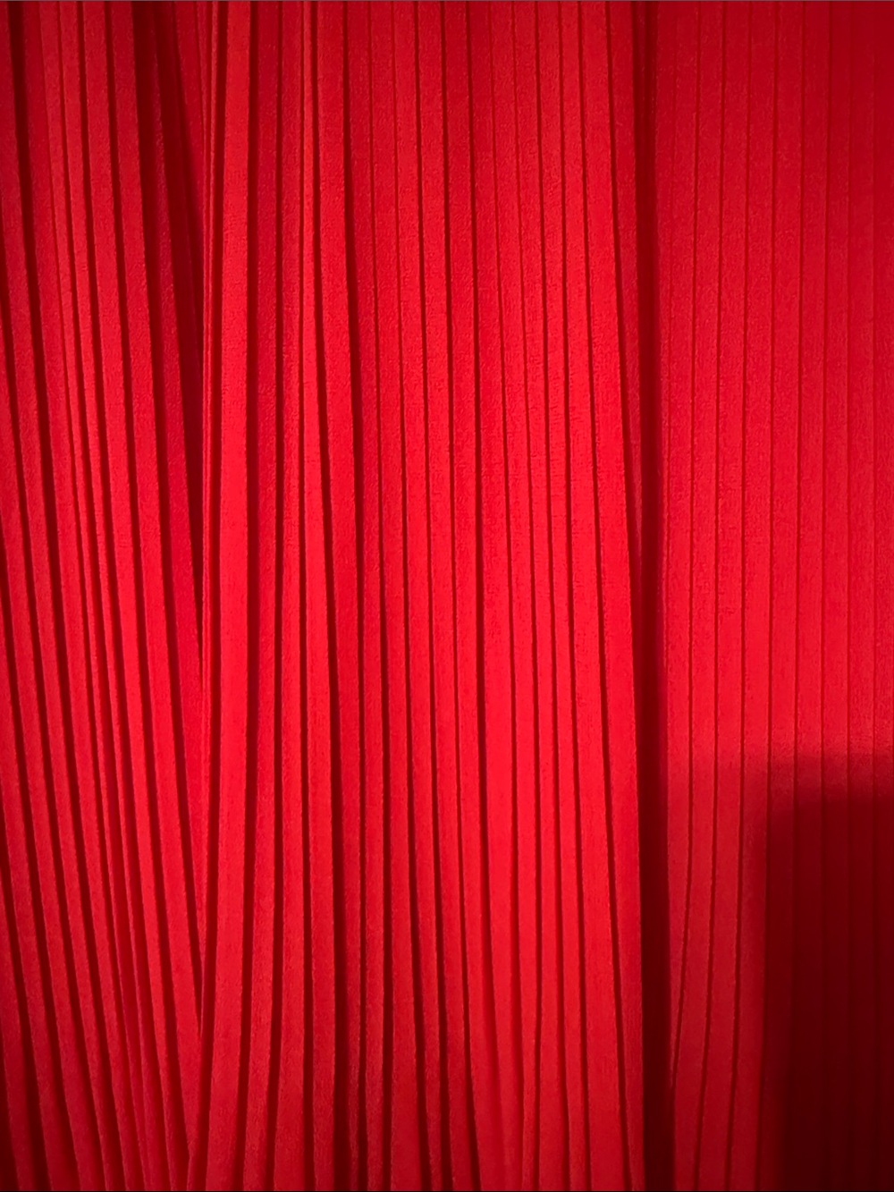 Alex Marie Red Pleated Midi Dress with Floral Trim - Picture 2 of 7